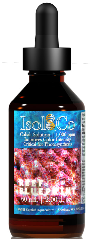 Increases cobalt in recirculating seawater systems. Increases primary productivity. Required by photoautotrophs (including zooxanthellae) for photosynthesis, and pigment, vitamin, and enzyme production. 1 drop (0.05 mL) per 7,472g (28,281 L), once daily to maintain NSW value for S=35. 1,000 ppm cobalt, derived from cobalt chloride (hydrated source, USP).