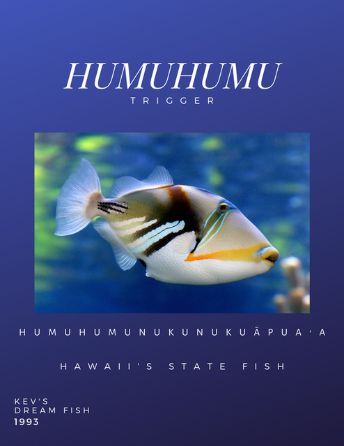 Humuhumu Triggerfish